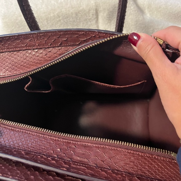 Celine Python Micro Luggage Tote Bag - Picture 6 of 11